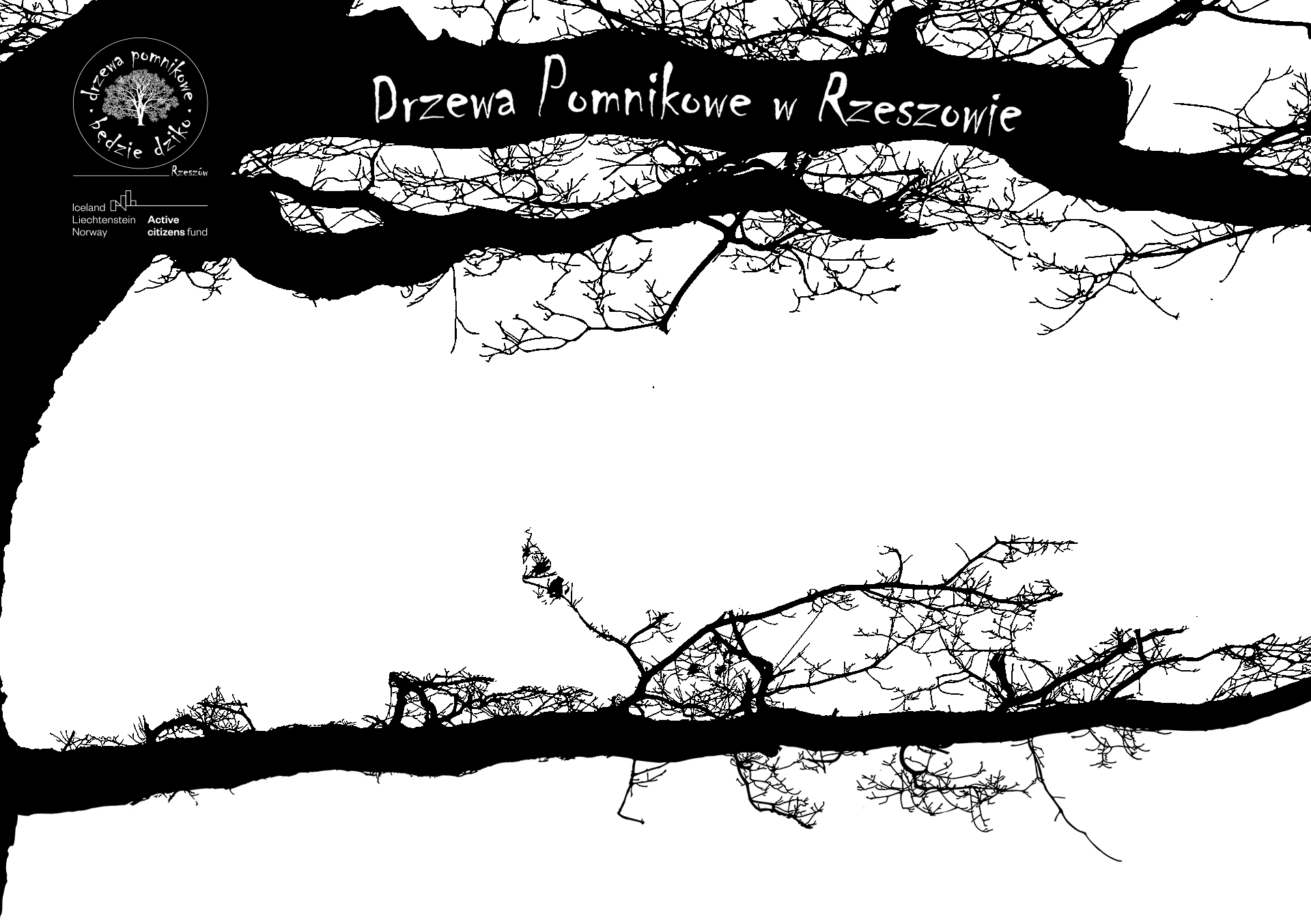Drzewa pomnikowe w Rzeszowie
