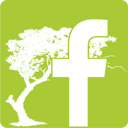 fb-bedziedziko