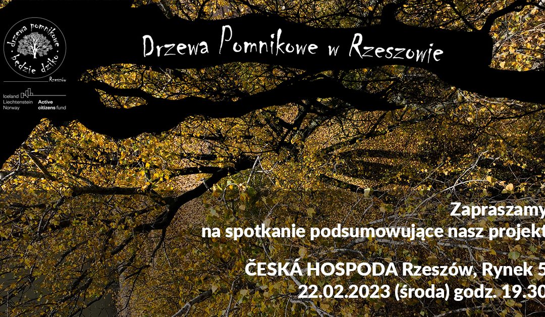 Spotkanie podsumowujące projekt „Drzewa Sędziwe w Rzeszowie”
