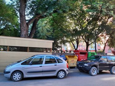Próba wycinki klonu srebrzystego ul. Podwisłocze w Rzeszowie